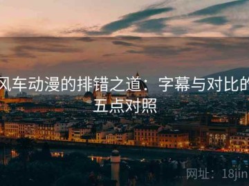 风车动漫的排错之道：字幕与对比的五点对照